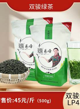 新疆包邮双骏绿茶LP4540毛峰系列浓香型茶500g