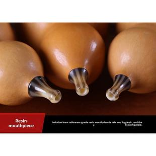 降 高档玄鹤楠竹葫芦专业演奏 丝小d gf调成人小学b生初学者 型