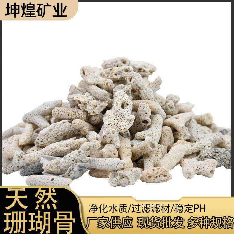 厂家珊瑚骨水族造景过滤装饰材料珊瑚沙海洋馆净化水质珊瑚石