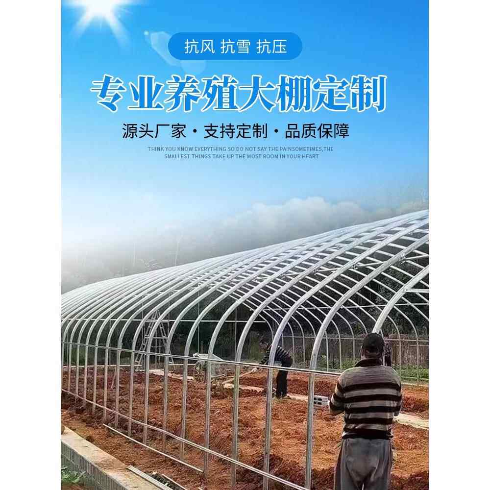 种植大棚骨架钢管温室定制暖棚鸡鸭猪养殖全套钢架蔬菜大棚简易