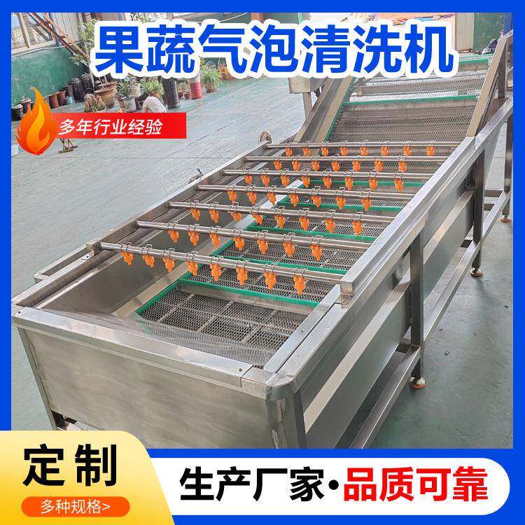 厂家直供果蔬气泡清洗机茶叶气泡清洗机设备艾草鼓泡翻浪清洗机
