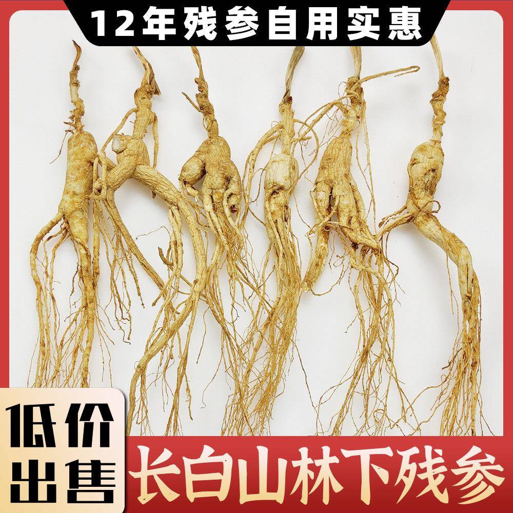 正宗12年东北林下参长白山人参林下参残参干货人参泡酒专用一手货