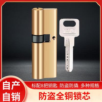 防盗门锁芯入户门大门锁芯WJ全铜锁心通用型AB锁芯卡巴锁芯