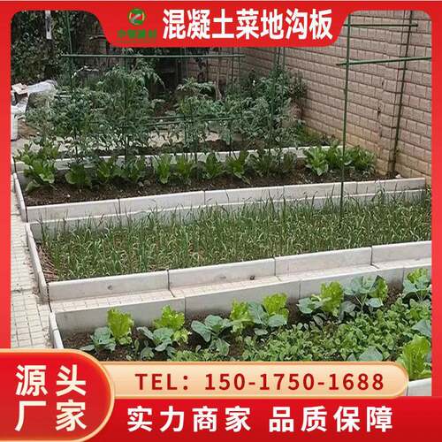 东莞菜园过道水泥板水泥沟菜地沿路菜沟板水泥菜沟板厂家直销