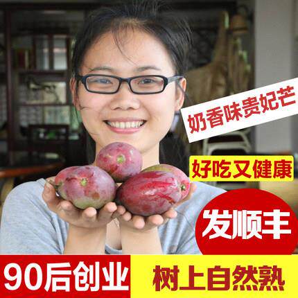 2026年海南三亚特产树上熟贵妃芒果新鲜水果现摘现发5斤顺丰包邮