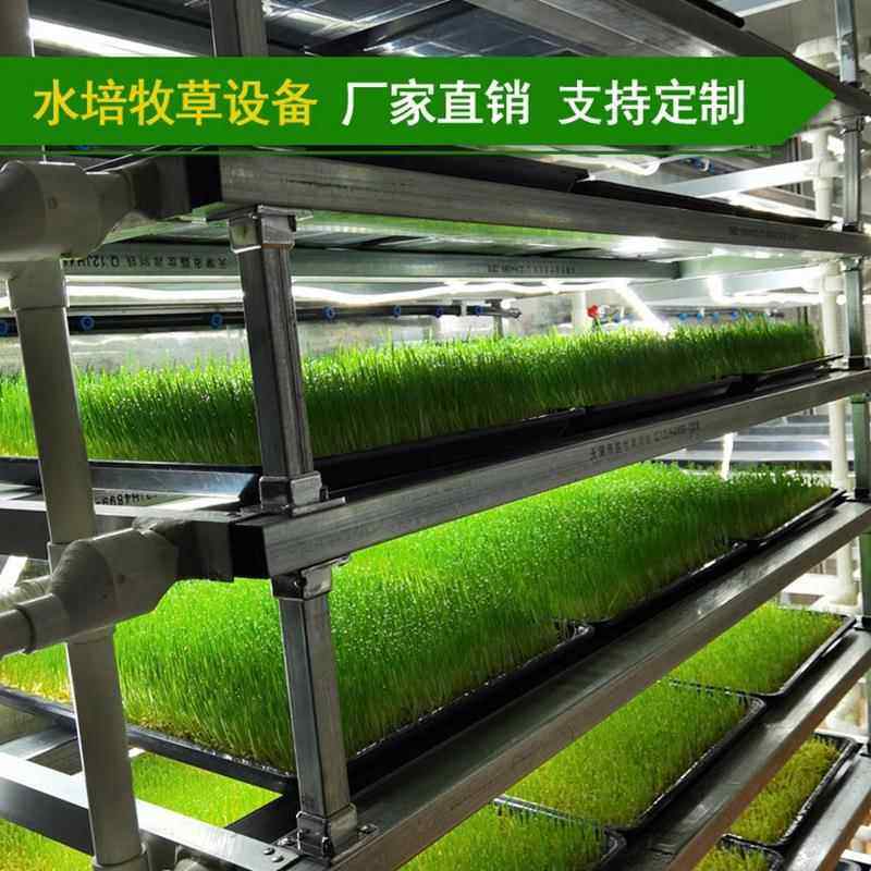 智能温室内水培牧草设备厂家养殖小麦草饲料牧草生产设备,农机/农具/农膜,智能温室设备,淘宝优惠券,粉丝福利购,淘宝优惠卷