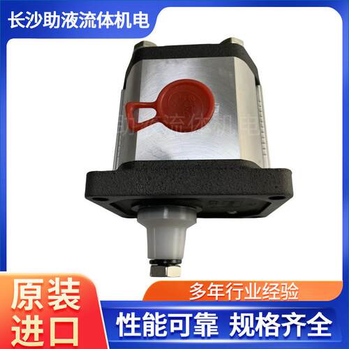 马祖奇锥轴泵环卫泵GHP2-D-22-FG泵工程机械高压泵