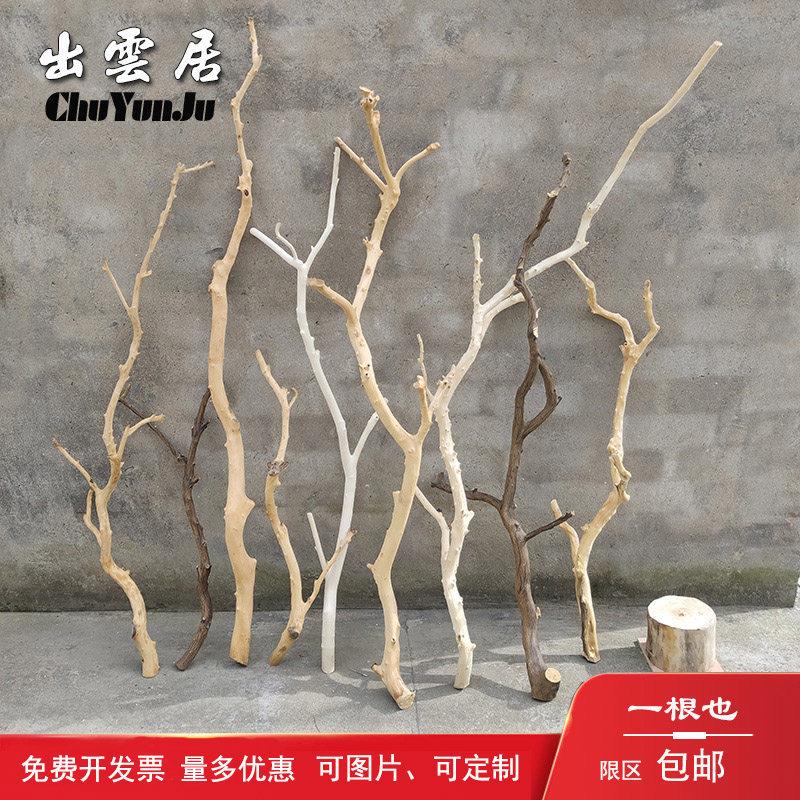 干树枝原木杈天然干枝枯枝枯木树干鸟架造型壁挂衣架吊顶树枝装饰图片
