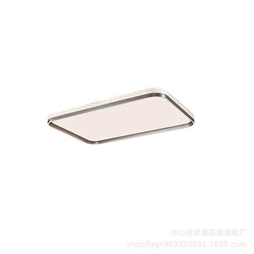 意式极简客厅吸顶灯家用智能书房灯现代设计师款大厅吸顶灯