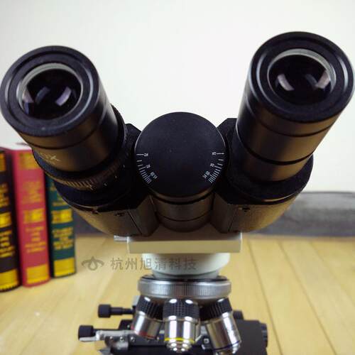 三目生物显微镜40-1600倍上海彼爱姆XSP-BM-2CEA