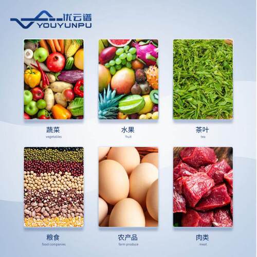 食食品测安全检仪多功能金品重属速测仪台式农残留YP-NC06快速检