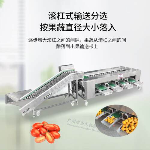 圣滚天厂家土直供水果分选机豆ZCU分级机选果机杠离设备分全自动