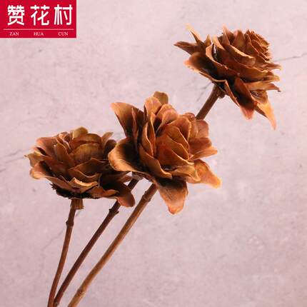 新款直销山茶花云南干花花束 自然风干永生花干燥真花花材