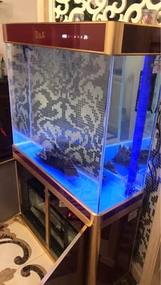 不说假话德克鱼缸怎么样，体验过后真实反馈！