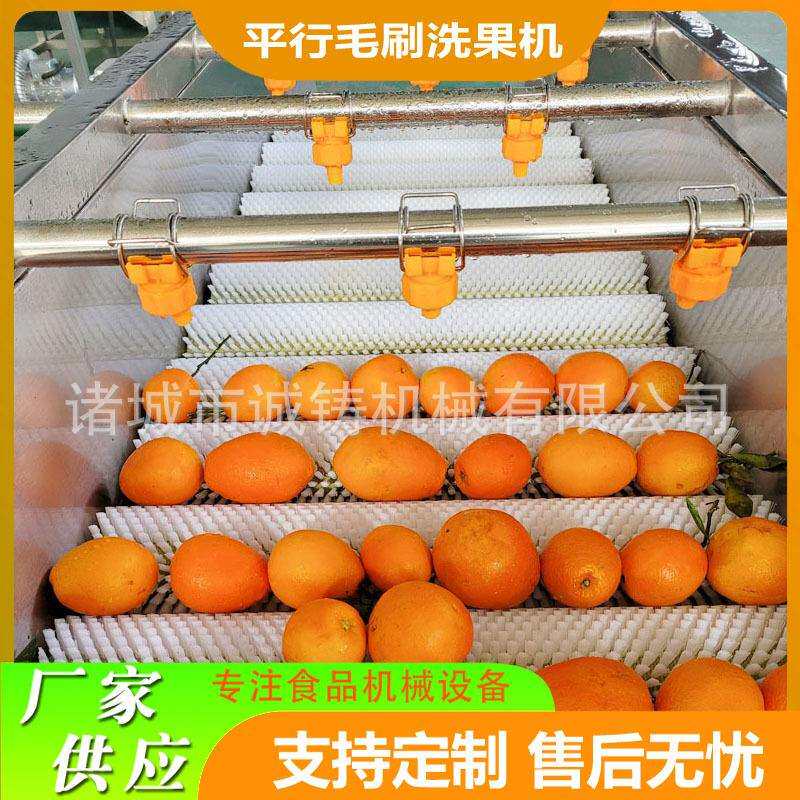 全自动毛辊清洗机小型平行毛刷洗果机砂糖橘毛刷洗果机沃柑洗果机