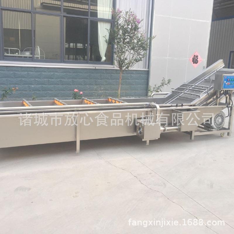 连续式辣椒清洗机价格 多功能辣椒清洗机 红辣椒清洗机蔬菜清洗机