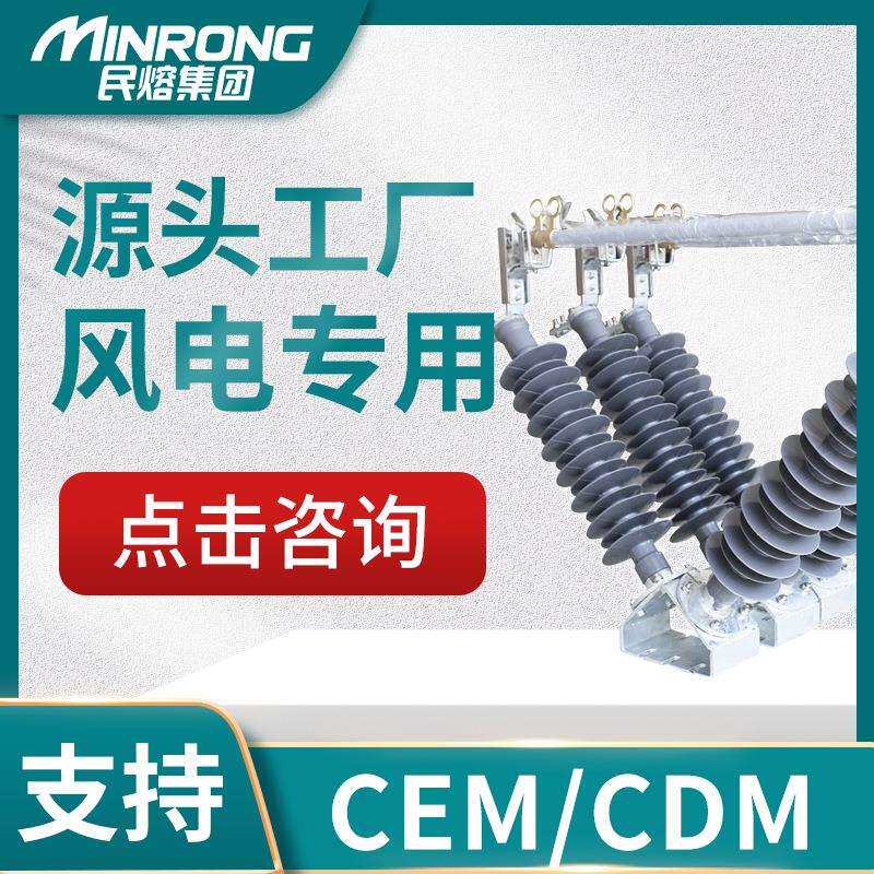 防风跌落式熔断器FDGW-35/200A40.5KV保险开关户外风电专用