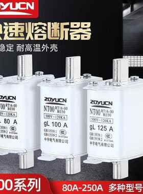 中宇低压熔断器NT00 NT1熔芯 陶瓷保险丝芯子RT16熔芯可定制
