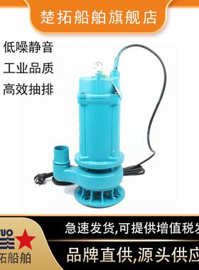 电动潜水泵IMPA591623井水泵污水泵抽水泵农用灌溉水泵110V