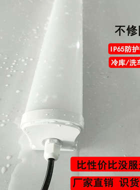 耐低温led防水防潮尘支架灯ip65应急三防灯一体化双管冷库专用灯