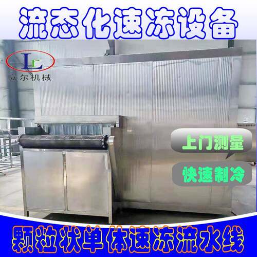 流态床速冻机隧道式果蔬类氟利昂IQF单冻设备芭乐流态化速冻设备