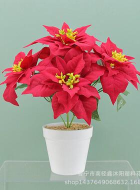 仿真绒布一品红5头圣诞花节假日装饰假花新年人造花开业装饰植物