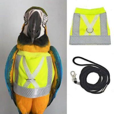 Reflective Leash Comfortable Leash Reflective Flight