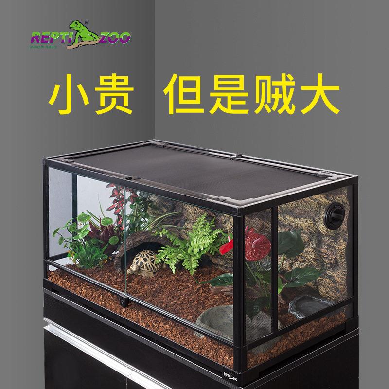 新派玻璃生态爬宠饲养箱蜥蜴守宫陆龟蛇爬缸热带雨林缸造景寄居蟹