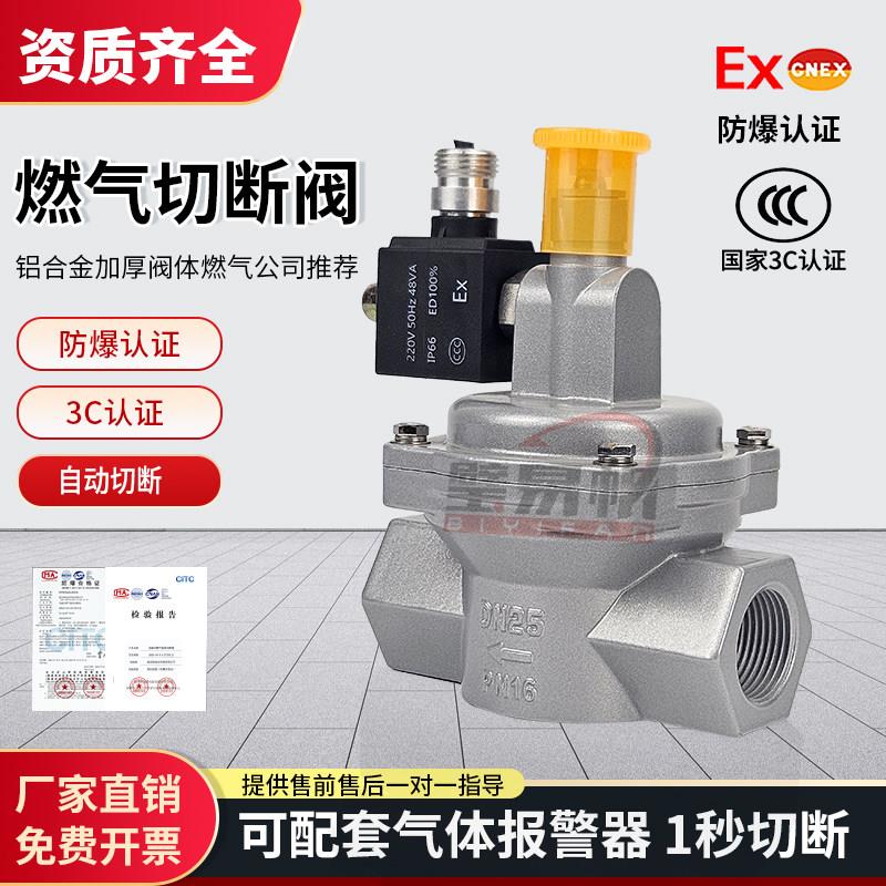 工业商用燃气电磁切断阀瓦斯泄漏自动紧急切断快速关防爆电磁阀