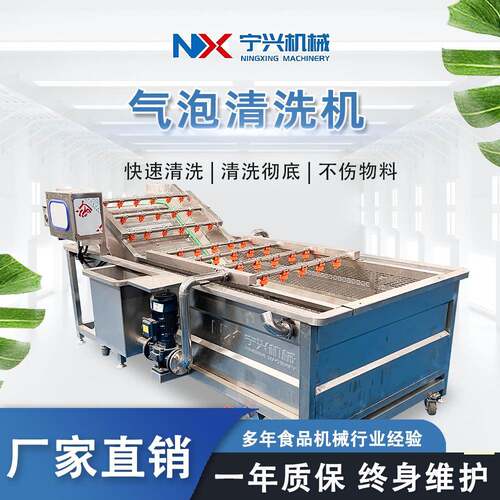 宁兴多功能杨梅果蔬清洗机西蓝花生菜喷淋洗菜机大型气泡清洗机