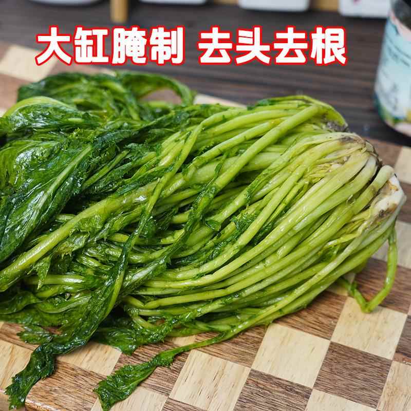 雪菜青咸菜绿雪菜新鲜腌制雪里红下饭菜雪里蕻新鲜腌菜绿色雪里红
