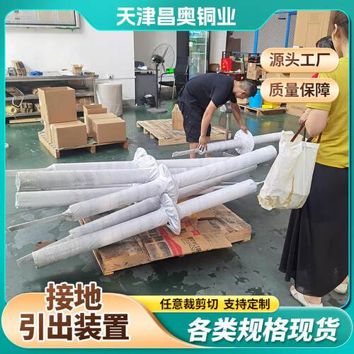 接地引出装置 DN25防雷接地引出线 水平垂直接地体 50*5