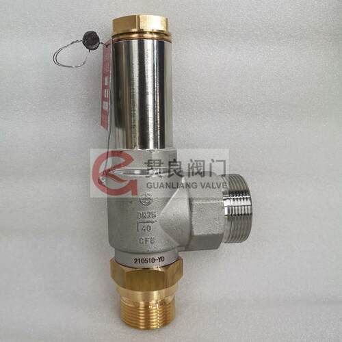 低温安全阀DA22F-40PDA21F-40P液氮液氧LNG安全阀DN25