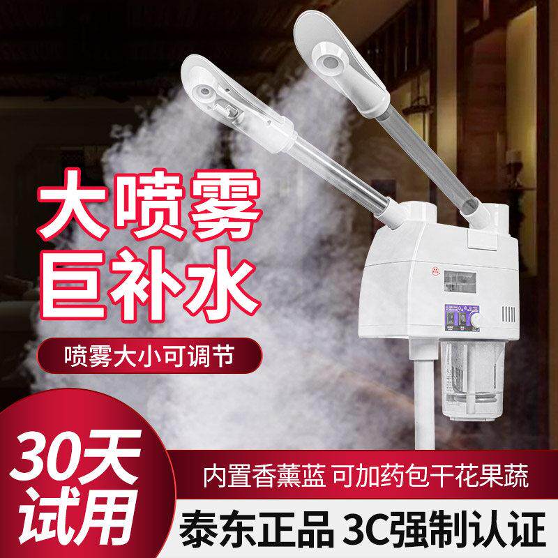 泰东冷热喷雾机美容仪美容院专用打开毛孔保湿冷热双喷雾机蒸脸仪