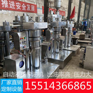 低温冷榨芝麻核桃液压油机 家用农用榨油机小型便携香油机油坊立式