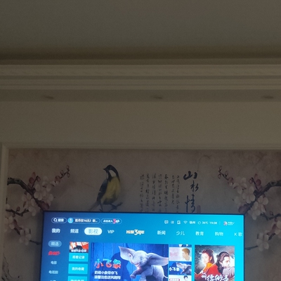 质量对比康佳65G3U和海信HZ65E52A电视入手哪款更好，区别优缺点对比揭秘是？