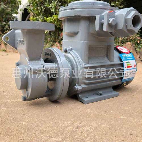 供应防爆油泵WM-05EX电动铸铁卧式高温导热油泵0.5HP热水热油泵