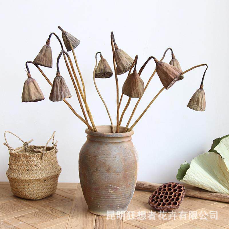 狂想者真杆干莲蓬森系复古自然干花干枝莲蓬家居饰品植物