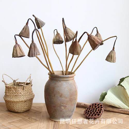 狂想者真杆干莲蓬森系复古自然干花干枝莲蓬家居饰品植物