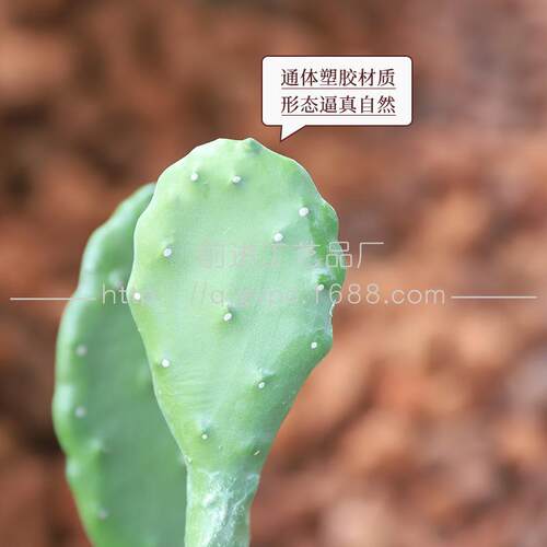厂家沙生植物景观人造仙人掌仿真莱昂仙人掌绿植盆栽假植物