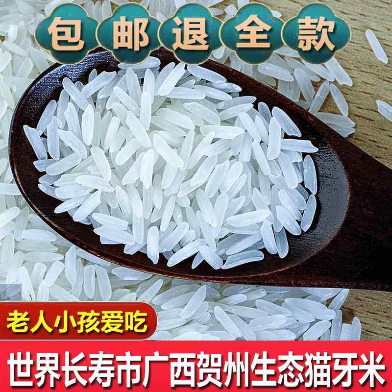 正宗广西长寿市新米猫牙米长粒香米10斤煲仔饭丝苗大米蛋炒饭软糯