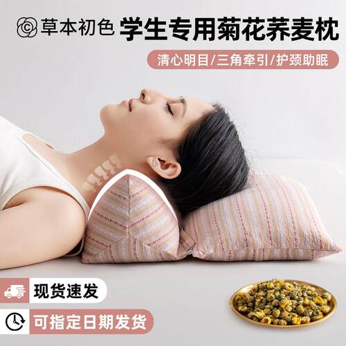 菊花荞麦壳枕头成人护颈椎助睡眠枕芯学生宿舍圆柱牵引组合枕
