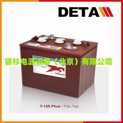 Trojan邱健蓄电池L16G-AC L16P-AC L16H-AC启停型 6V390AH洗地机