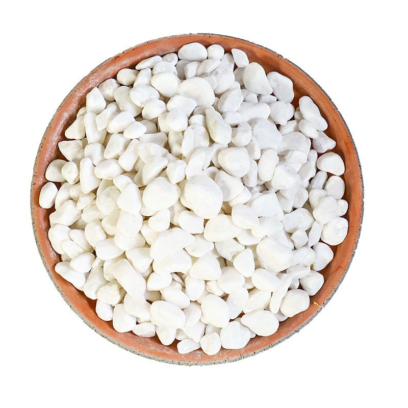 石子多鹅卵石雨花石小白栽培基质