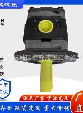 IQU福伊特IVP5-40101IPVP轮5-50101IPVP5-64101齿泵P油泵