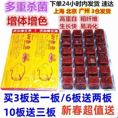 高蛋白新鲜浪花红血虫冻红虫赤虫红线虫喂食金鱼七彩神仙发财鱼饲