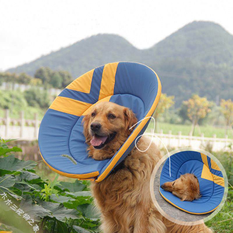 伊丽莎白圈中大型犬适用 防舔咬绝育脖圈头套 金毛萨摩头套XL尺码