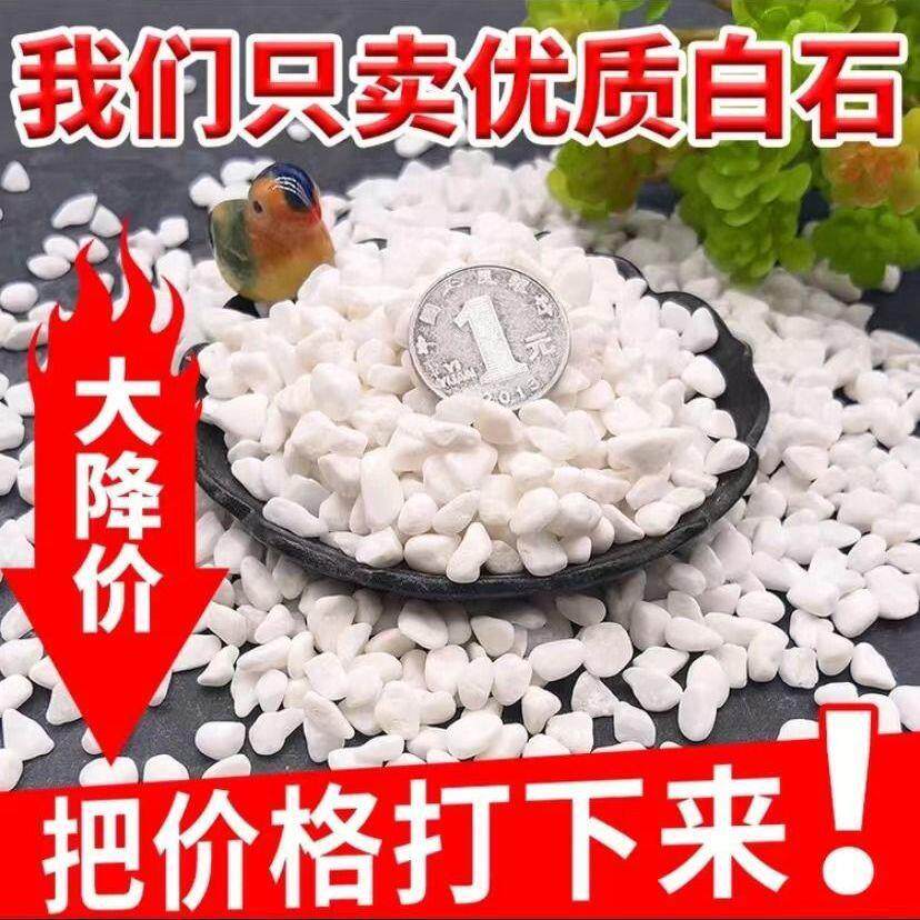 水磨石石米白色透水石子园林花圃造景砾石白色石米水洗石黑色石米
