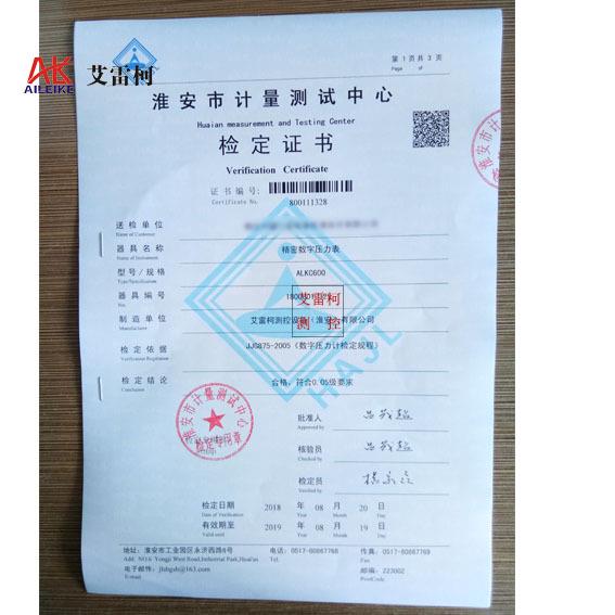 标准校压力压表智能数字压力表数力验仪DVL压字力计