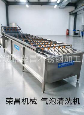 全自动果蔬气泡清洗机 304不锈钢净菜加工设备红枣辣椒板栗清洗线